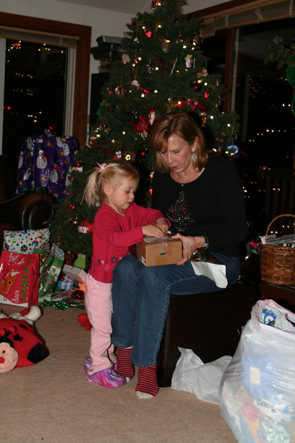 2010-12-24-119 Christmas in Colorado.jpg